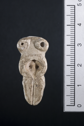 "Venere" neolitica su dente di Sus